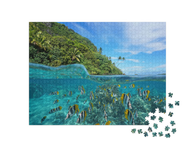 Over & Under the Sea Near the Shore of a Lush Wild Coast... Jigsaw Puzzle with 1000 pieces