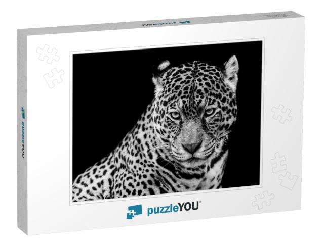 Jaguar with a Black Background in B&W... Jigsaw Puzzle