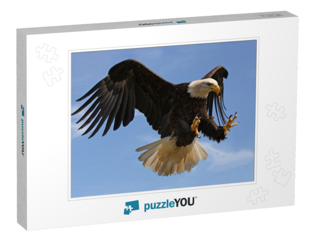 Eagle in Flight... Jigsaw Puzzle