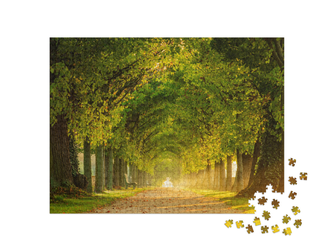 Tunnel-Like Avenue of Linden Trees, Tree Lined Footpath T... Jigsaw Puzzle with 1000 pieces