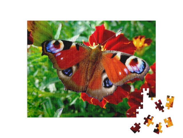 The Peacock Butterfly on the Flower. Colorful Butterfly... Jigsaw Puzzle with 200 pieces