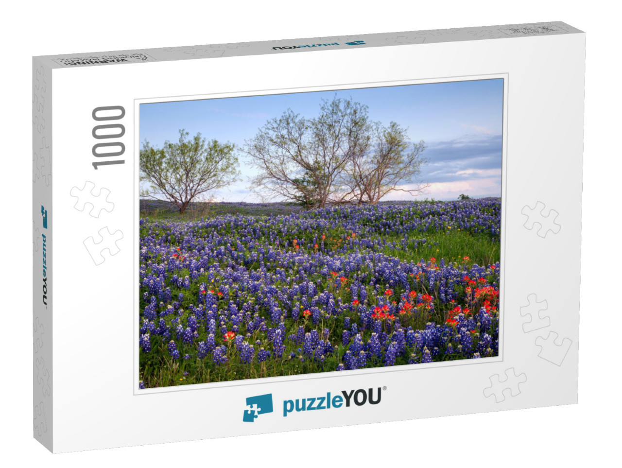 Bluebonnet Filled Meadow on the Ennis Bluebonnet Trail in... Jigsaw Puzzle with 1000 pieces