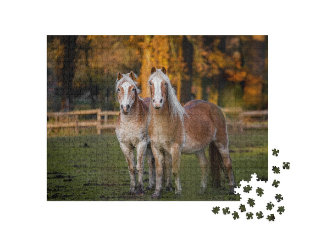 Two Horses Standing in Meadow with Autumn Background... Jigsaw Puzzle with 1000 pieces