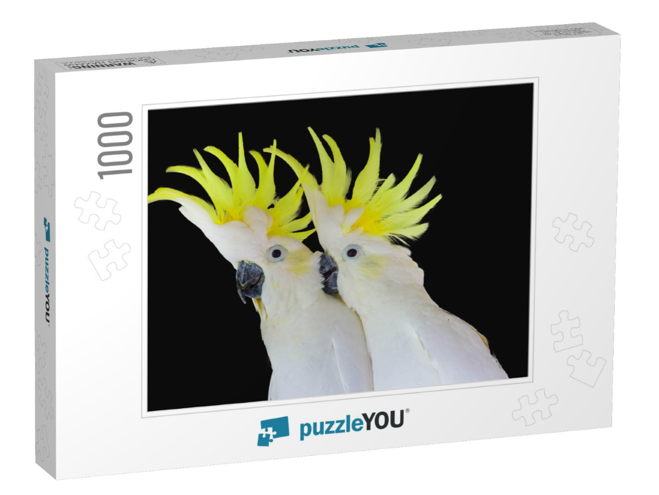 Greater Sulphur-Crested Cockatoo Isolated on Black Backgr... Jigsaw Puzzle with 1000 pieces