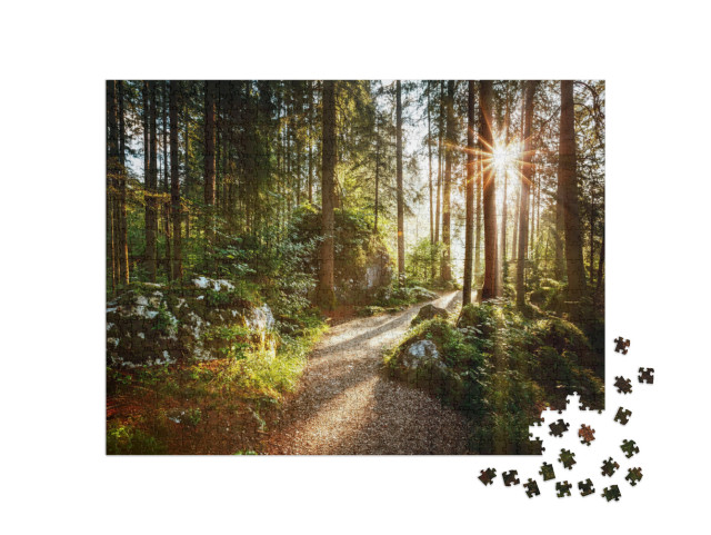 Magical Scenic & Pathway Through Woods in the Morning Sun... Jigsaw Puzzle with 1000 pieces