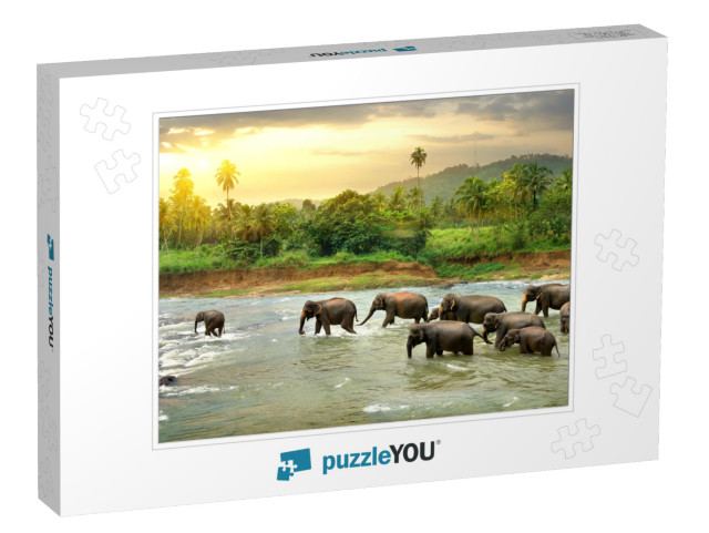 Elephants in River... Jigsaw Puzzle