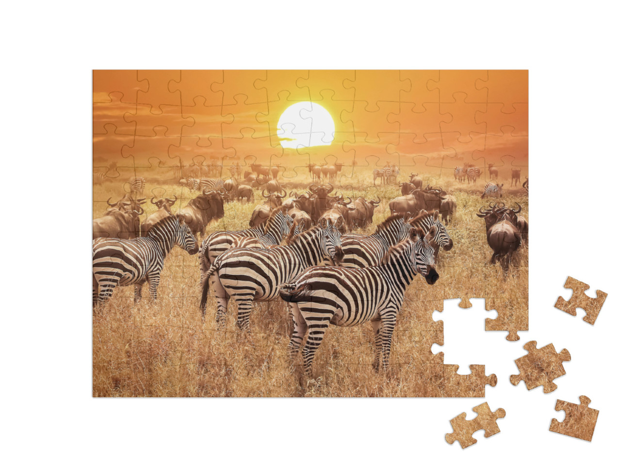 Zebra At Sunset in the Serengeti National Park. Africa. T... Jigsaw Puzzle with 100 pieces