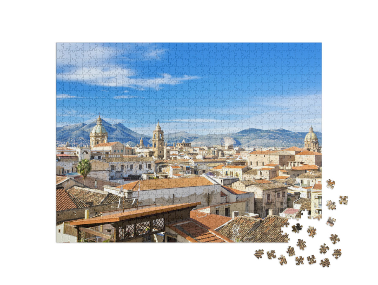 Panorama of the City of Palermo... Jigsaw Puzzle with 1000 pieces