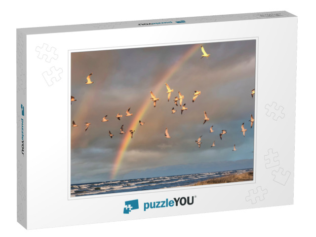 Birds Over a Baltic Sea Beach on a Sunny Day with Rainbow... Jigsaw Puzzle