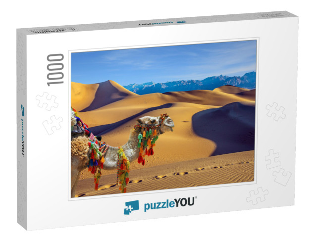 Magnificent One-Humped Camel - Dromedar. the Camel is Bea... Jigsaw Puzzle with 1000 pieces