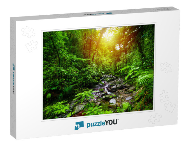 Small Stream in Guadeloupe Jungle At Sunset. Lesser Antil... Jigsaw Puzzle