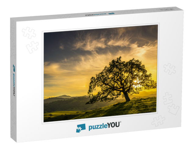 Sunset Through an Oak Tree Near San Jose California... Jigsaw Puzzle