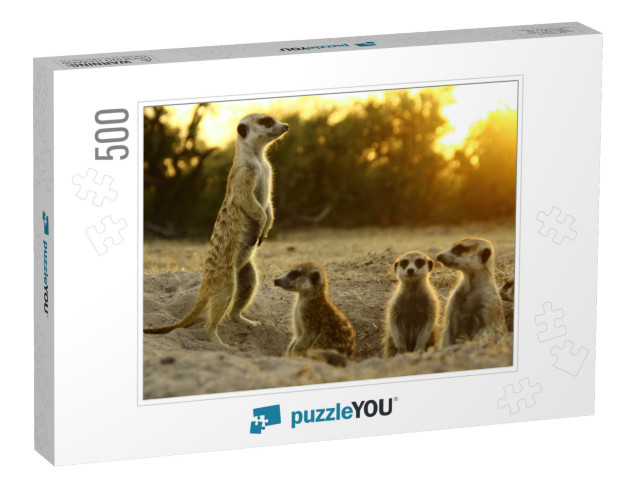 Meerkat the Most Funny Animal. Namibia Wild Life... Jigsaw Puzzle with 500 pieces