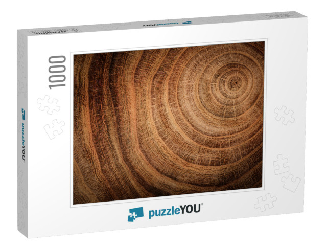 Stump of Oak Tree Felled - Section of the Trunk with Annu... Jigsaw Puzzle with 1000 pieces