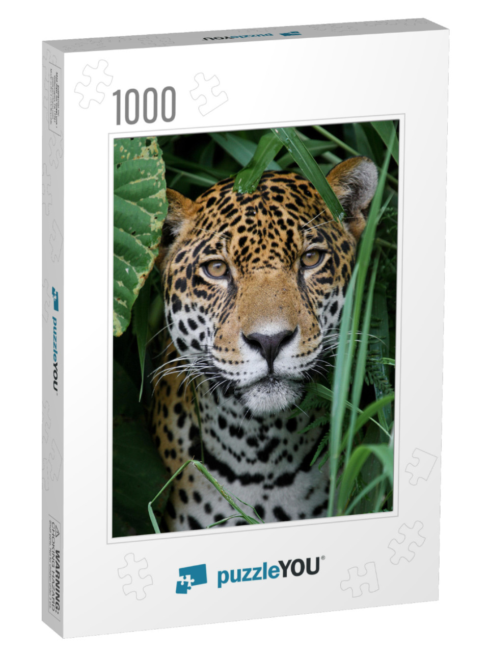 Jaguar in the Amazon Jungle... Jigsaw Puzzle with 1000 pieces