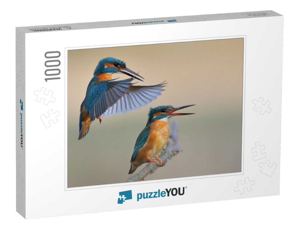 Kingfisher Alcedo At This Common Kingfisher... Jigsaw Puzzle with 1000 pieces