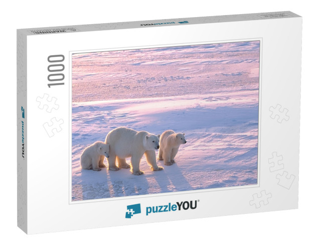 Polar Bear with Cubs in Canadian Arctic... Jigsaw Puzzle with 1000 pieces