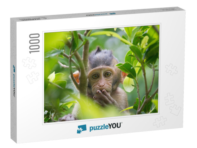 A Cute Monkey Lives in a Natural Forest of Thailand... Jigsaw Puzzle with 1000 pieces