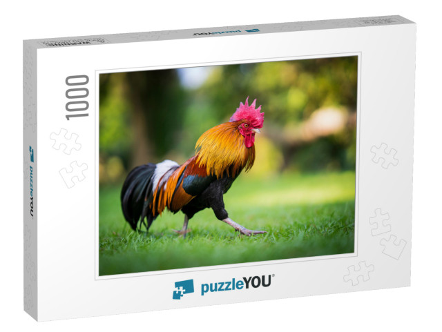 Beautiful Rooster Standing on the Grass in Blurred Nature... Jigsaw Puzzle with 1000 pieces