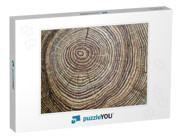 Painted Brown Wooden Annual Rings... Jigsaw Puzzle