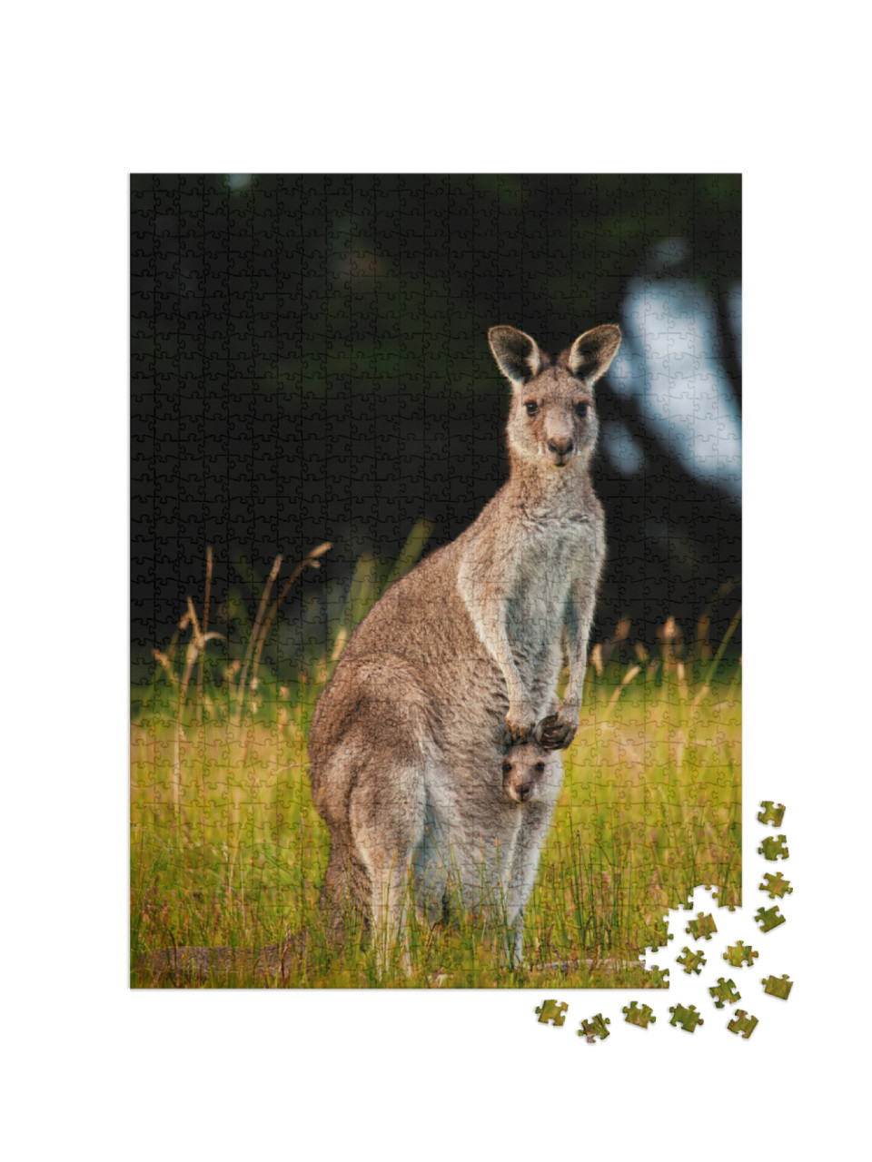 Kangaroo with Her Joey in Pouch... Jigsaw Puzzle with 1000 pieces