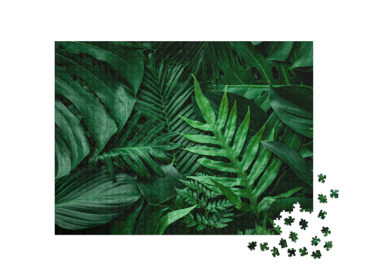 Closeup Nature View of Green Leaf & Palms Background. Fla... Jigsaw Puzzle with 1000 pieces