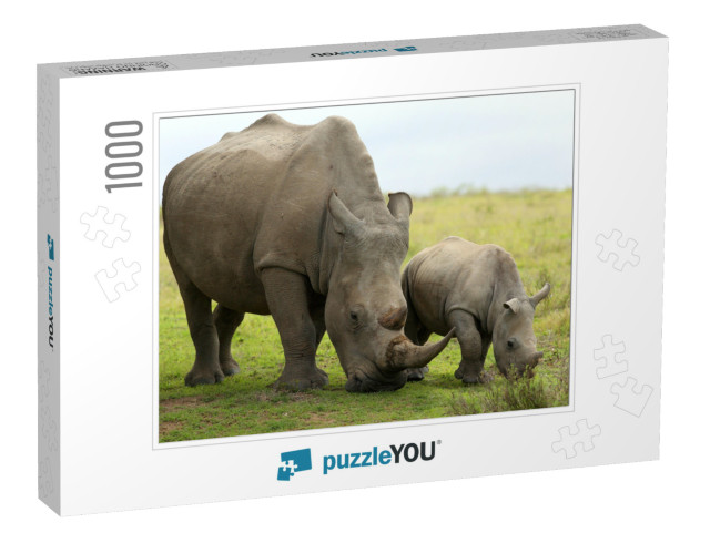 A Close Up of a Female Rhino / Rhinoceros & Her Calf. Sho... Jigsaw Puzzle with 1000 pieces