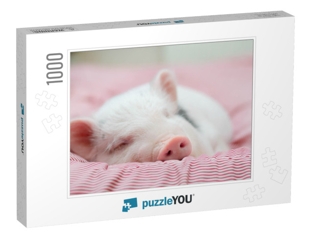 Cute Pig Sleeps on a Striped Blanket. Christmas Pig... Jigsaw Puzzle with 1000 pieces