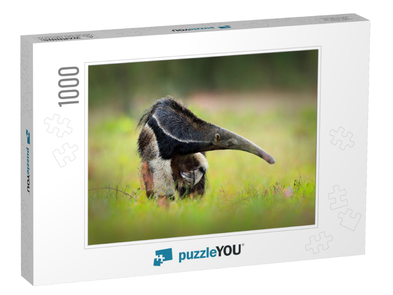 Anteater, Cute Animal from Brazil. Giant Anteater, Myrmec... Jigsaw Puzzle with 1000 pieces