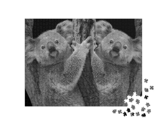 Two Cute Koala Bear Sitting on the Tree... Jigsaw Puzzle with 1000 pieces