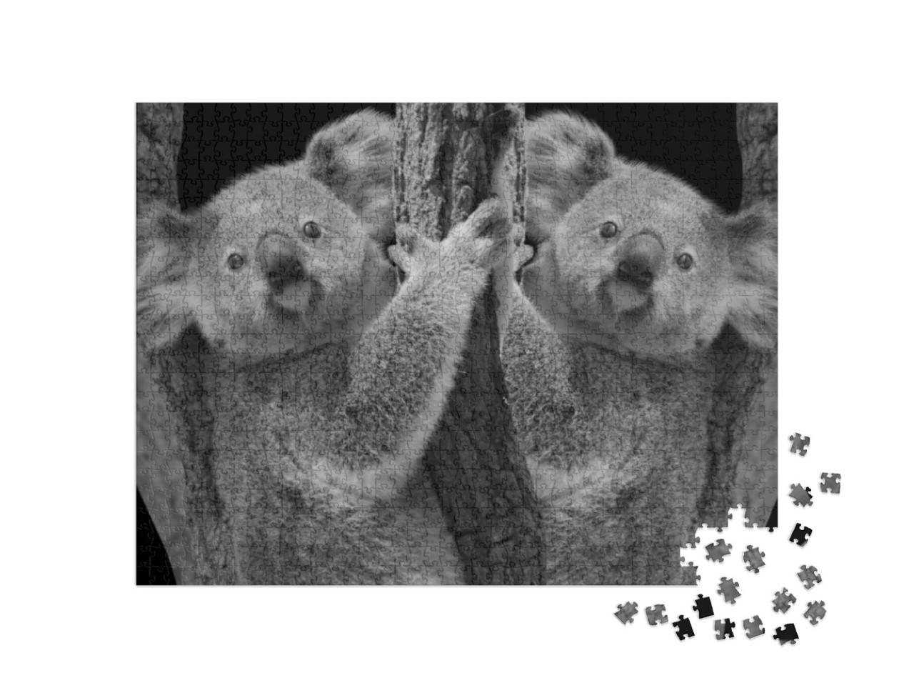 Two Cute Koala Bear Sitting on the Tree... Jigsaw Puzzle with 1000 pieces