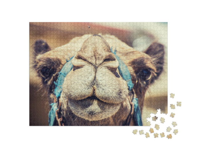 Camels Muzzle Just a Camel Looking Straight Into My Camer... Jigsaw Puzzle with 1000 pieces