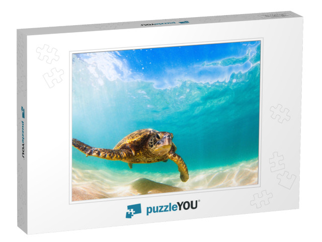 Hawaiian Green Sea Turtle Cruising in the Warm Waters of... Jigsaw Puzzle