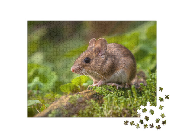 Wild Wood Mouse Resting on a Stick on the Forest Floor wi... Jigsaw Puzzle with 1000 pieces