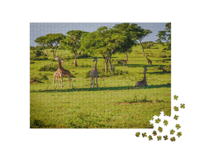 Pictorial Views of Nature & Wildlife Taken from Murchison... Jigsaw Puzzle with 1000 pieces