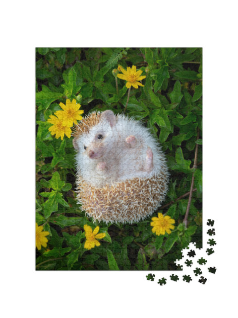 European Hedgehog Playing in the Flower Garden with Very... Jigsaw Puzzle with 1000 pieces