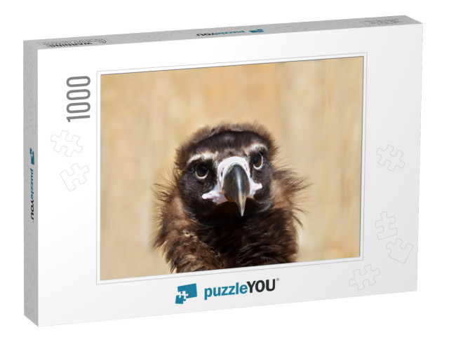 Portrait of a Cinereous Vulture Aegypius Monachus, Also C... Jigsaw Puzzle with 1000 pieces