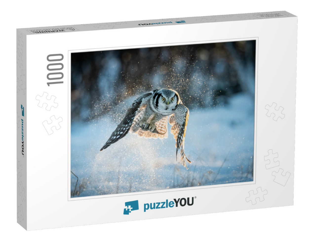 Northern Hawk-Owl Surnia Ulula Catching Mouse with Negati... Jigsaw Puzzle with 1000 pieces