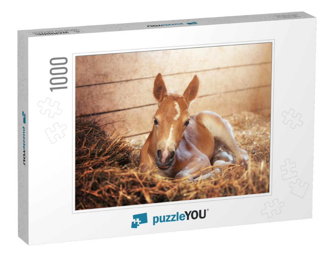 Beautiful Haflinger Foal - Horse Photo... Jigsaw Puzzle with 1000 pieces