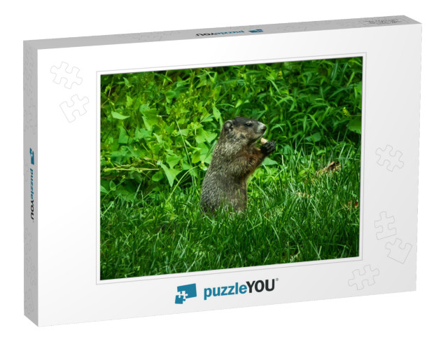 Gus The Chuck Jigsaw Puzzle