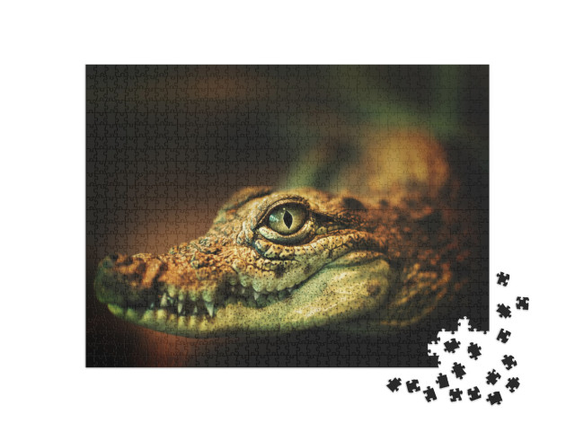 Crocodile Smiles. the Crocodiles Eyes Looking Directly At... Jigsaw Puzzle with 1000 pieces