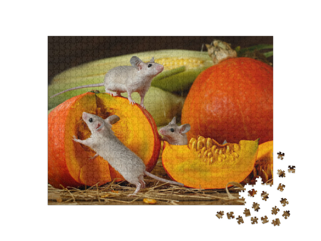 Close-Up Three Young Mice Climbs on Orange Pumpkin in the... Jigsaw Puzzle with 1000 pieces