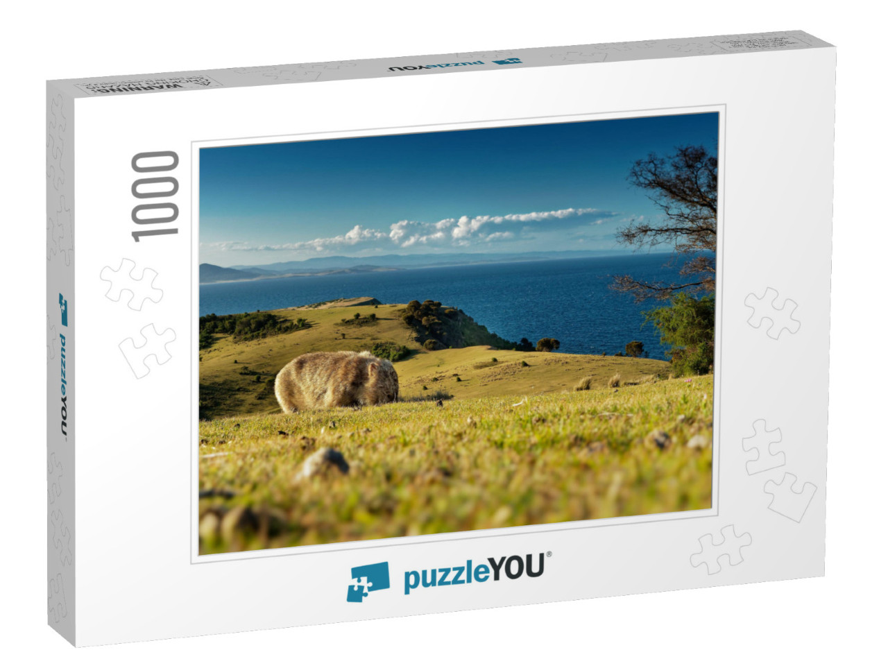 Vombatus Ursinus - Common Wombat in the Tasmanian Scenery... Jigsaw Puzzle with 1000 pieces