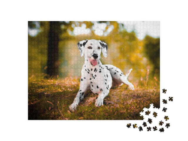 Dalmatian in Grass Black & White Dog... Jigsaw Puzzle with 1000 pieces