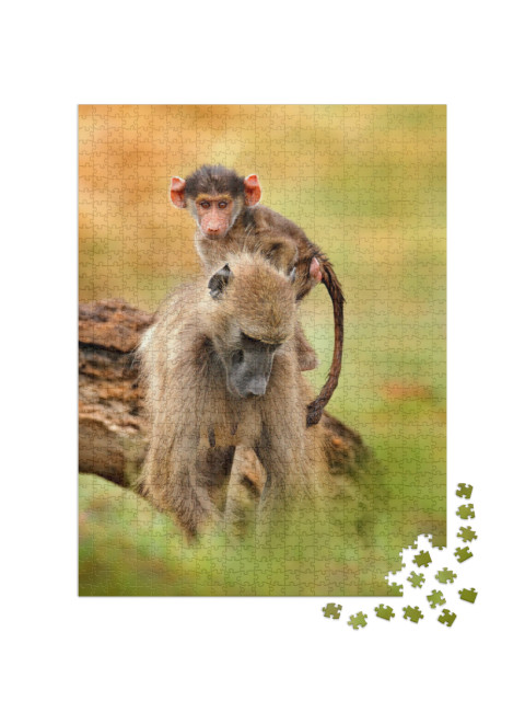 Monkey Young Cub. Chacma Baboon, Papio Ursinus, Monkey fr... Jigsaw Puzzle with 1000 pieces