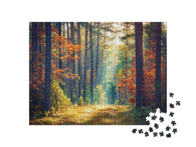 Autumn Forest Nature. Vivid Morning in Colorful Forest wi... Jigsaw Puzzle with 1000 pieces