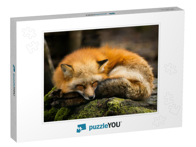 Red Fox Animal... Jigsaw Puzzle