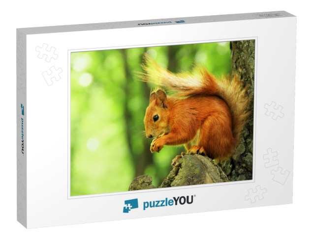 Sciurus. Rodent. the Squirrel Sits on a Tree & Eats. Beau... Jigsaw Puzzle