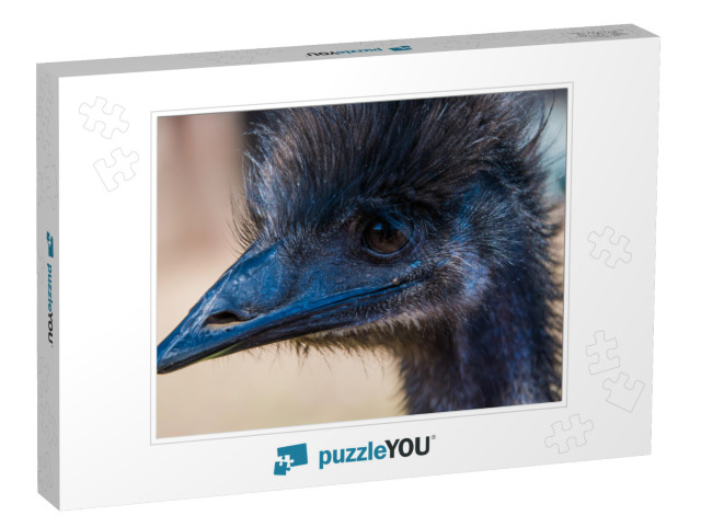 An Emu in Profile. Emus Live Only About 10 to 20 Years. E... Jigsaw Puzzle