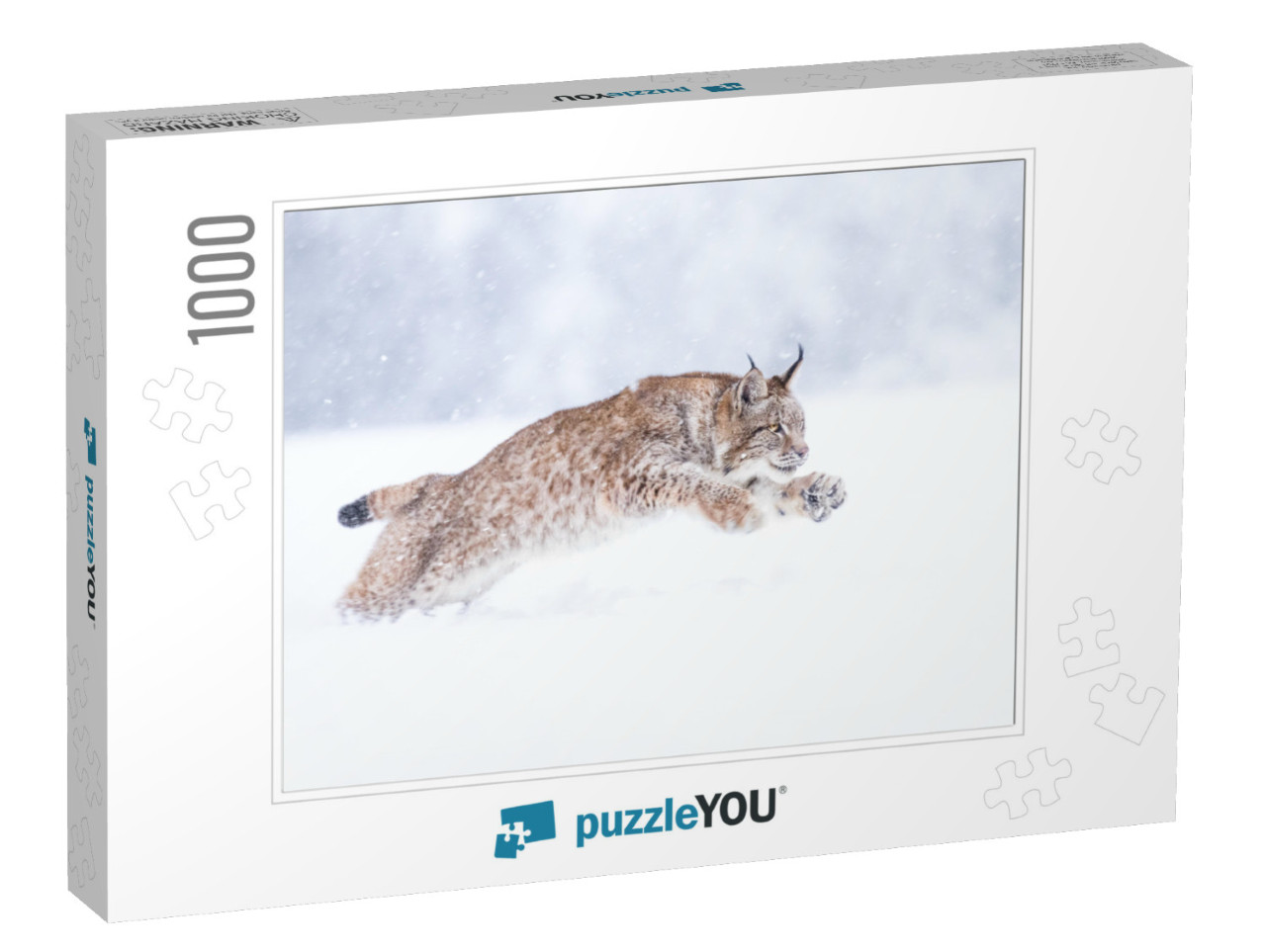 Young Eurasian Lynx on Snow. Amazing Animal, Running Free... Jigsaw Puzzle with 1000 pieces